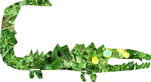 Krokodil