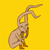 Hase