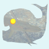 Fisch