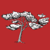 Baum